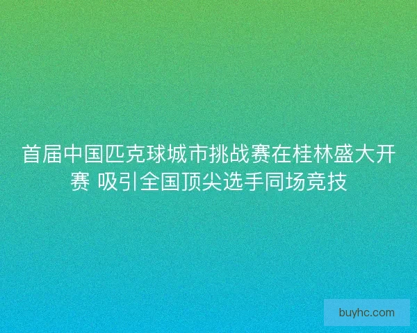 首届中国匹克球城市挑战赛在桂林盛大开赛 吸引全国顶尖选手同场竞技 首届中国匹克球城市挑战赛在桂林盛大开赛 吸引全国顶尖选手同场竞技
